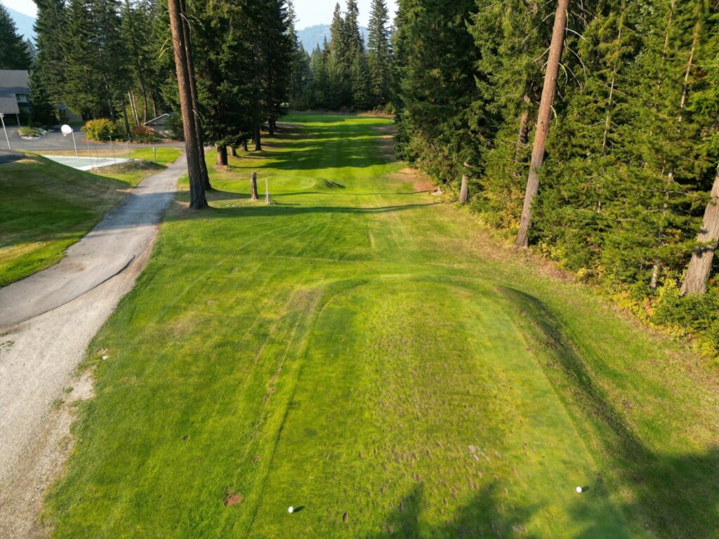 Aerial view of hole 2 at Kahler Mountain Club, a par 3 of 185 yards from the blue tees.