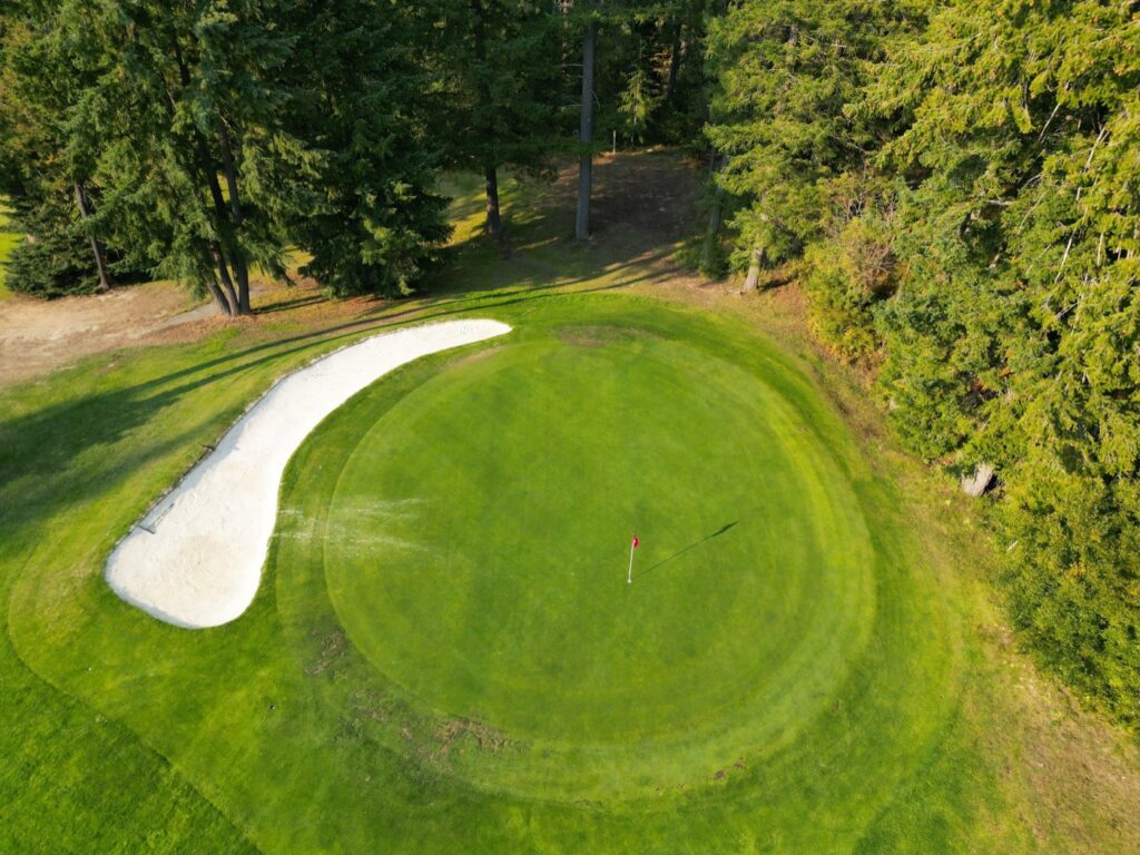 Aerial view of hole 5 at Kahler Mountain Club, a par 3 of 129 yards from the blue tees.