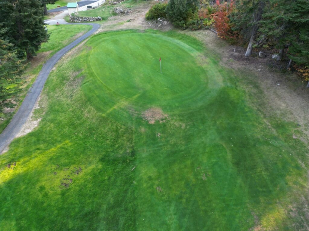 Aerial view of hole 8 at Kahler Mountain Club, a par 4 of 315 yards from the blue tees.